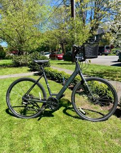 TREK Verve 2 Bicycle - Disc Brakes