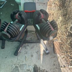 Work Out Equipment Dumbbells , Stand And Workout Bench