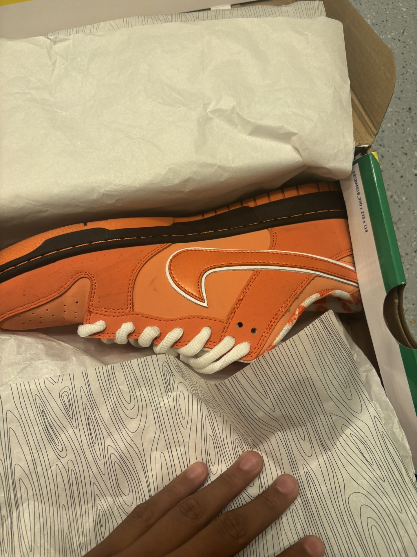 ORANGE LOBSTER SIZE 10