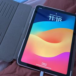 iPad 
