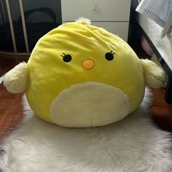16-20 Inch Squishmellow!!