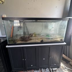 75 Gallon Fish Tank Set Up Aquarium 
