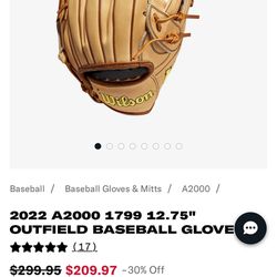 2022 Outfield Baseball Glove 