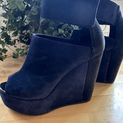 Pierre Hardy Navy Blue And Black Wedges 