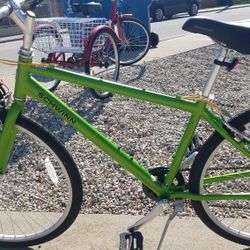 Men's Green Schwinn 28-in Tires