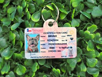 Custom Pet ID Set — ID Card + Collar Tag