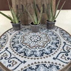 Aloe Vera 