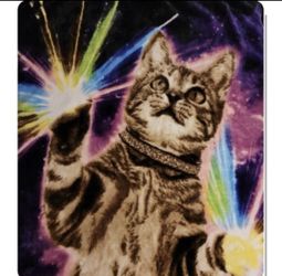 NWT Wild Frontier Wilderness Plush Galactic Cat Throw Blanket 50X60