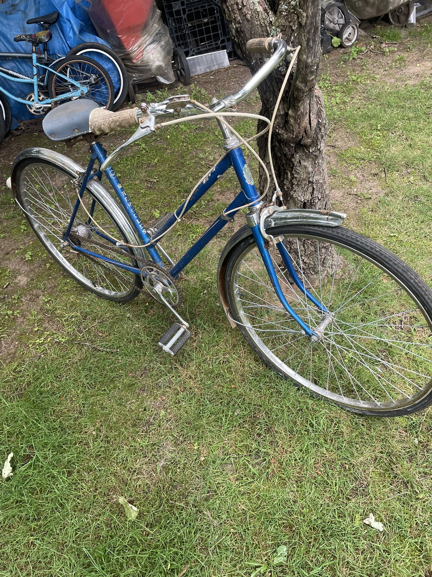 Hercules Women’s Bicycle