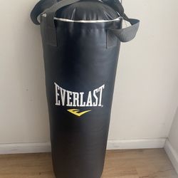 Everlast Punching Bag