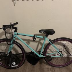 Golden Cycle Single Speed Road Bike