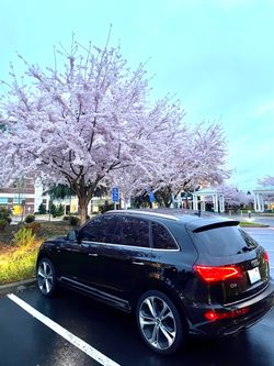 2017 Audi Q5