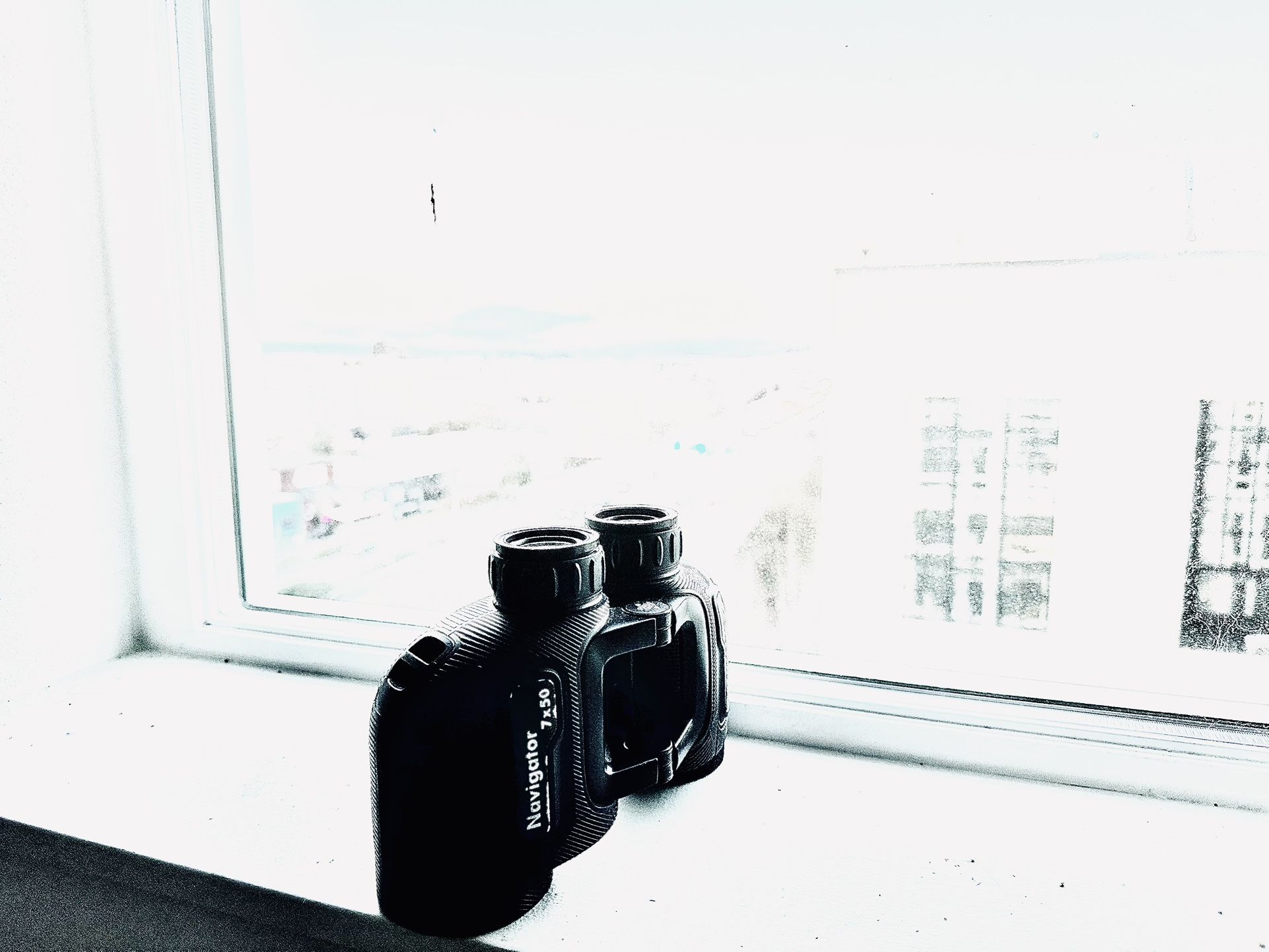 The Best Binoculars I’ve Ever Had The Privilege To Original Price 750$$Use.