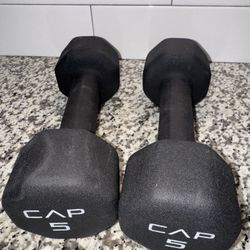 5 Pound Dumbbells