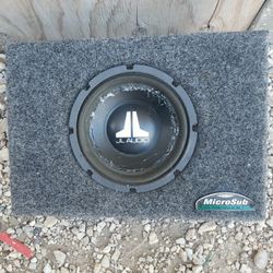 JL Audio Speaker 