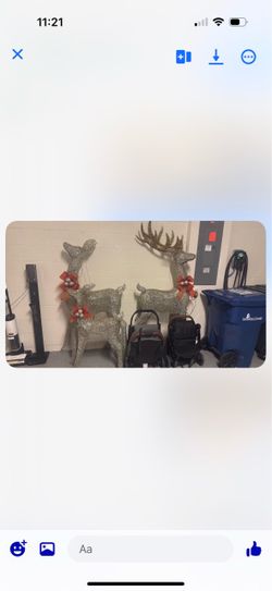 Costco reindeer set