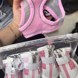 Small Puppy Vest And Shows 