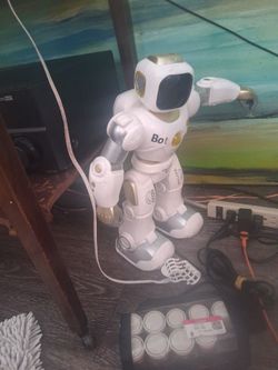 Interacting robot