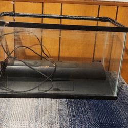 Fish Tanks With Accessories And Inner Workings 