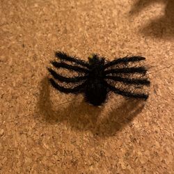 Cute Spider Clip