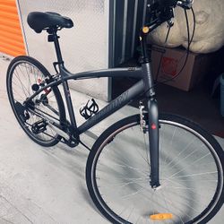 Adult Bike