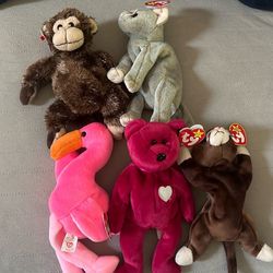 Set of Beanie Babies