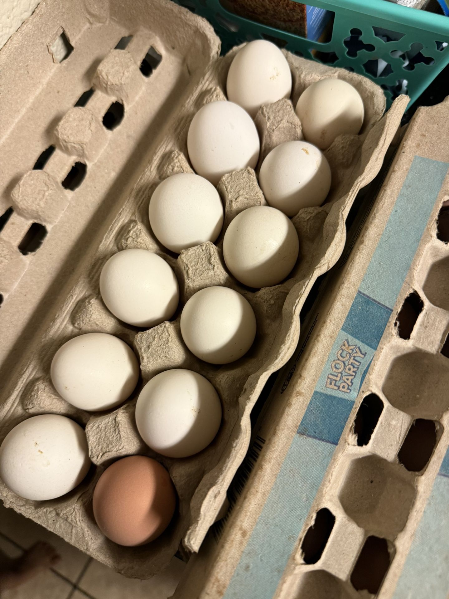 Fresh Farm Eggs