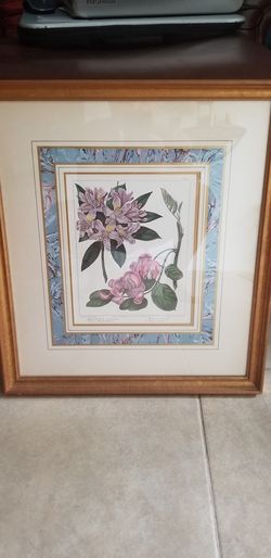Framed Floral Photo