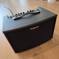 Roland AC-60 Acoustic Instrument And Vocal Amp