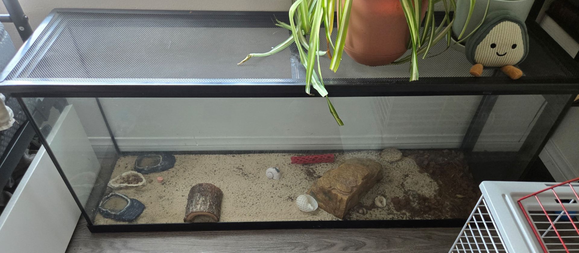 Huge aquarium/tank
