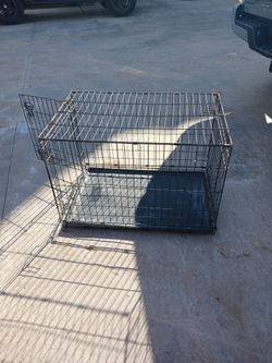 Animal Crate. You & Me Brand