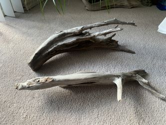 Drift Wood
