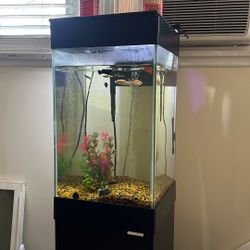 Fish Tank  20 Gallon With Stand And Light With Remote 