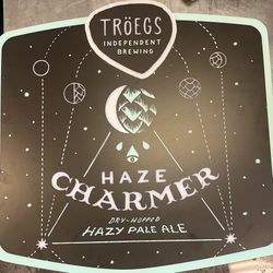 Troegs Bar Light 