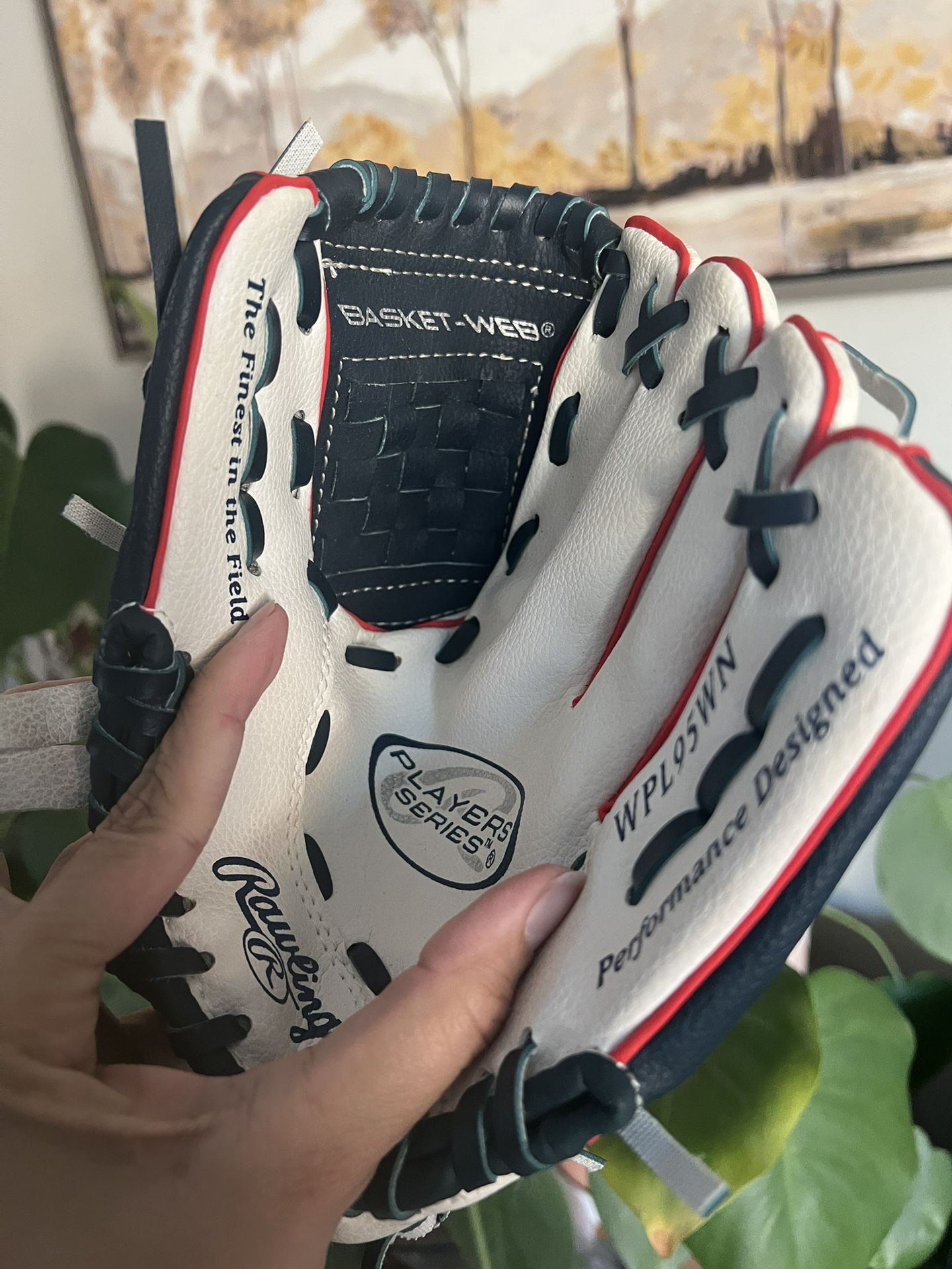 Rawlings Youth Baseball Glove