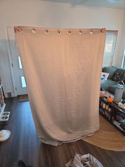 Faux Satin Beige/Silver Curtains - 2 panels