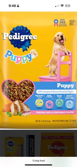 DOGGies Chow/inbox