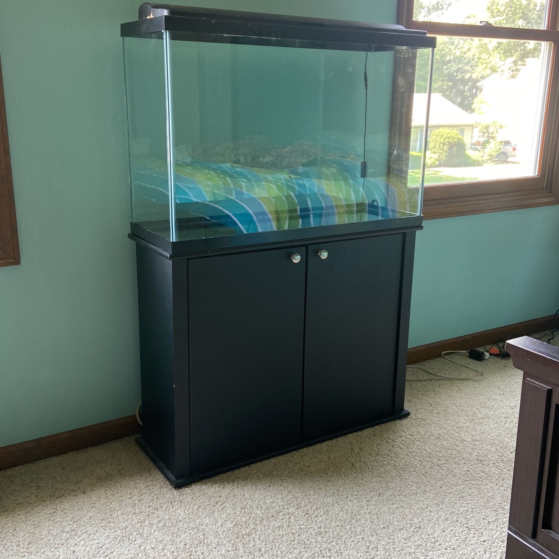 50 Gallon Fish Tank With Stand