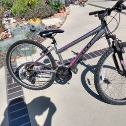 GT Palomar 21 Speed