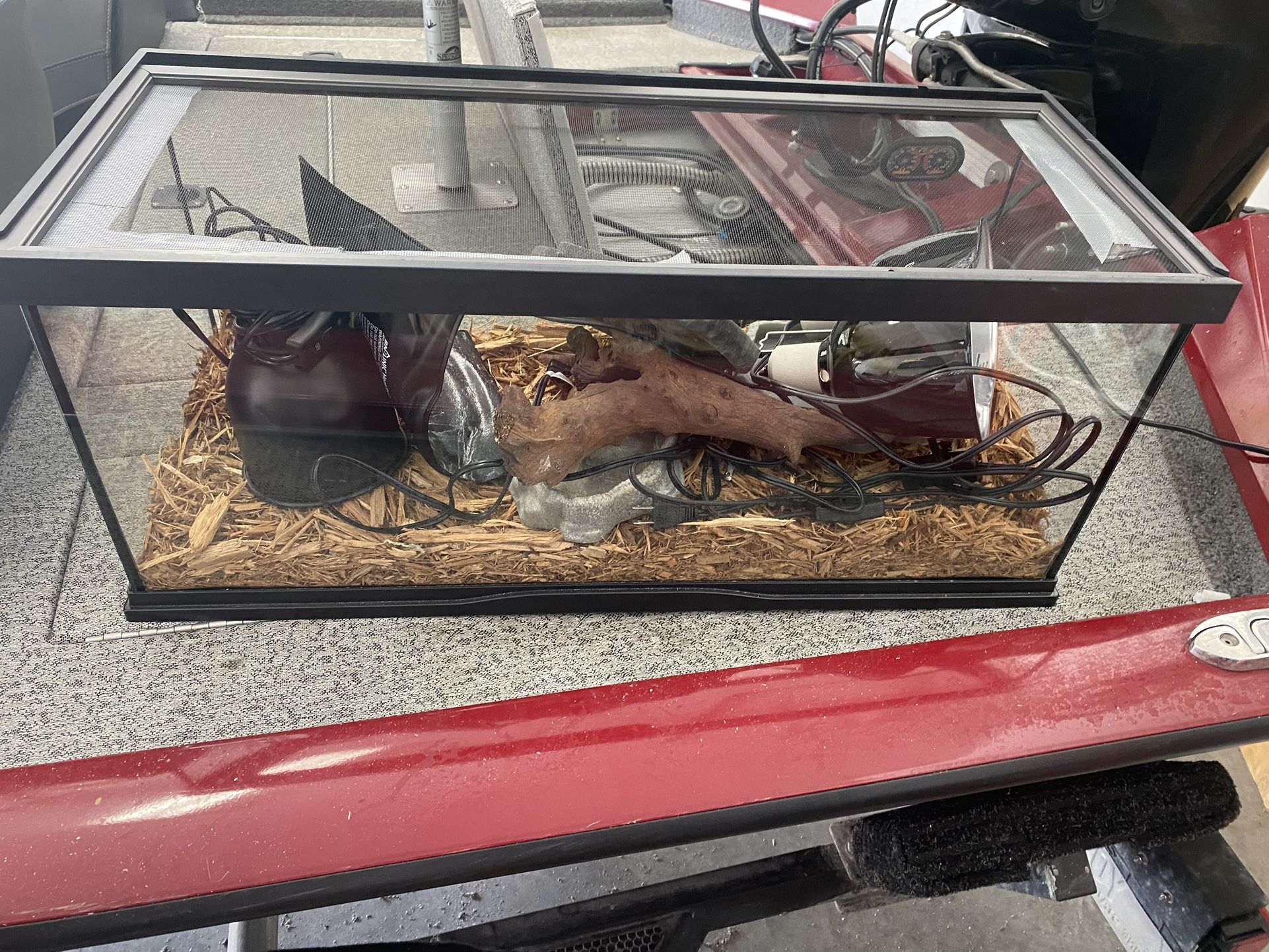 Reptile Setup. Holds Water.