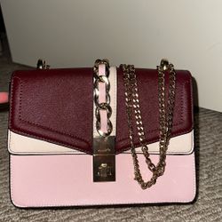 ALDO purse 