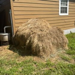 Hay for free 