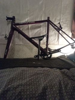 Carbon Fiber Cannondale