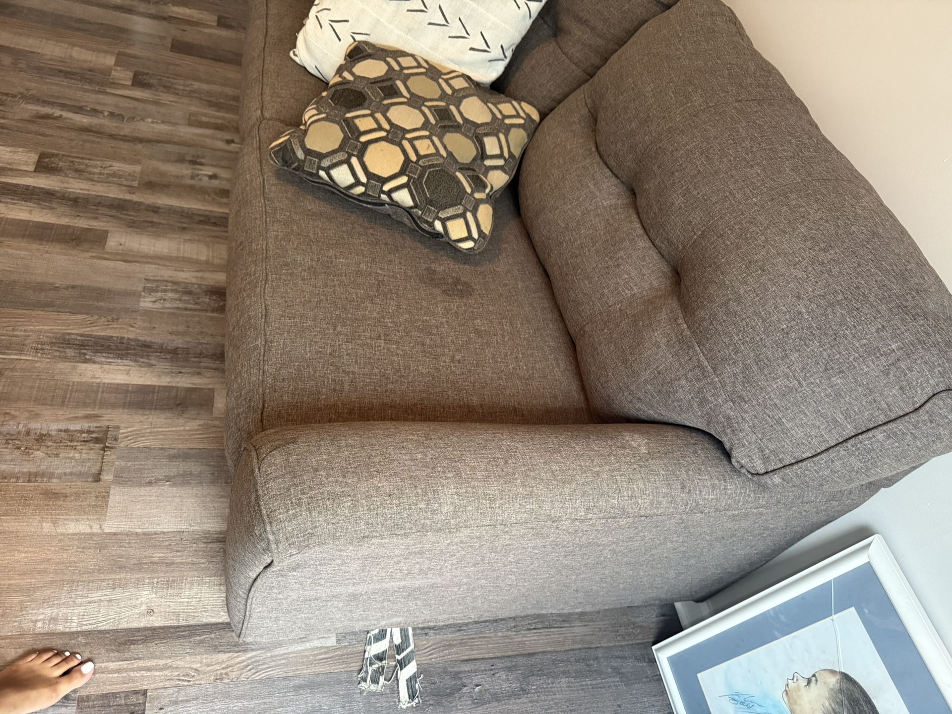 Pullout Bed couch