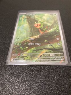 Chespin illustration rare