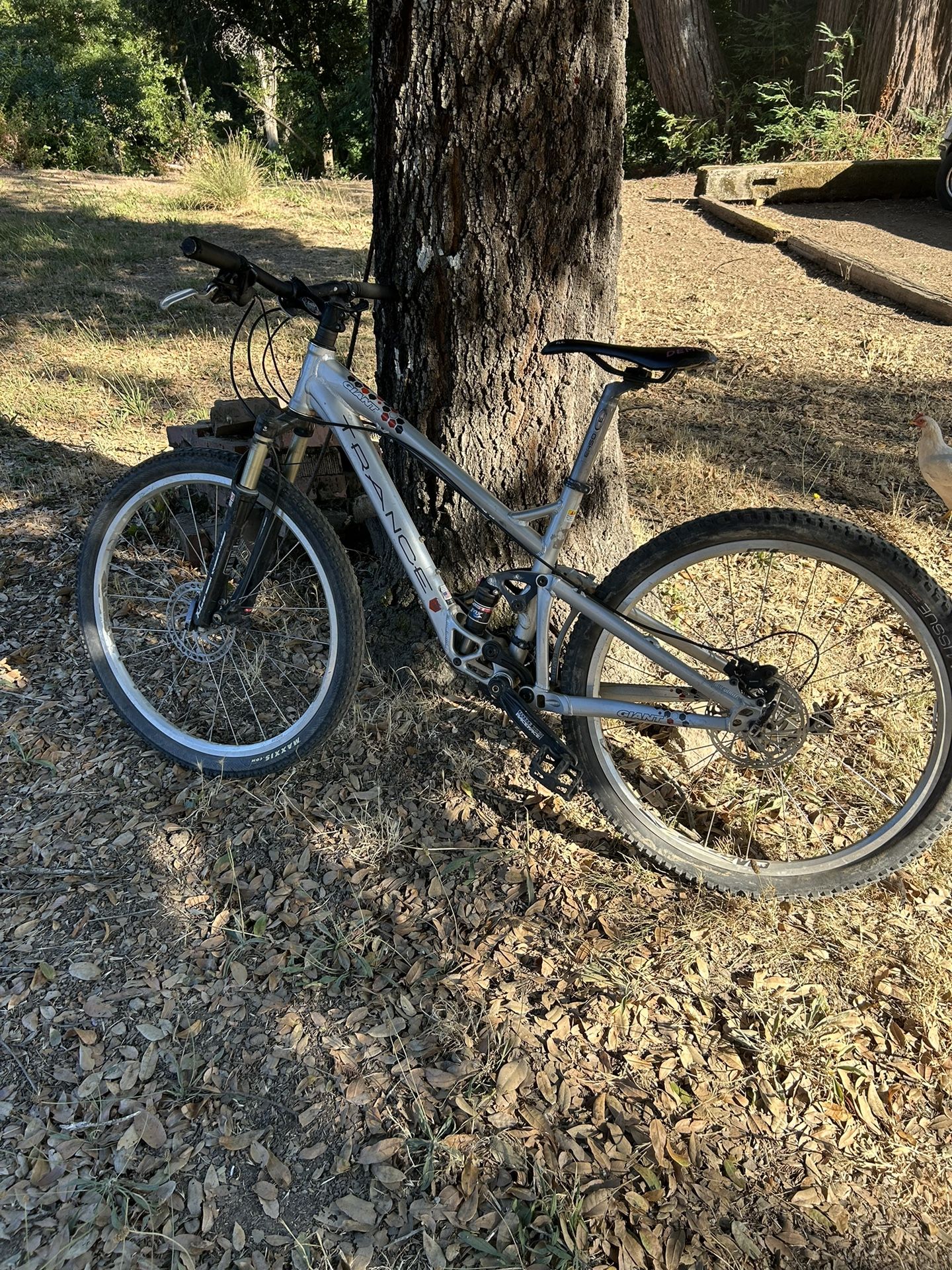 giant trance 3 with fox suspension 
