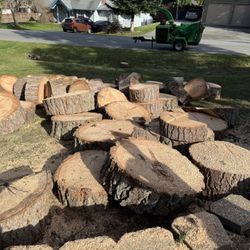 Douglas Fir Firewood Rounds Free