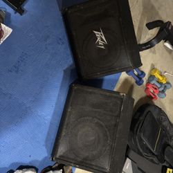 Peavey 112TI Passive Monitors
