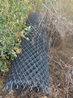 Fencing