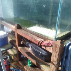 Aquarium